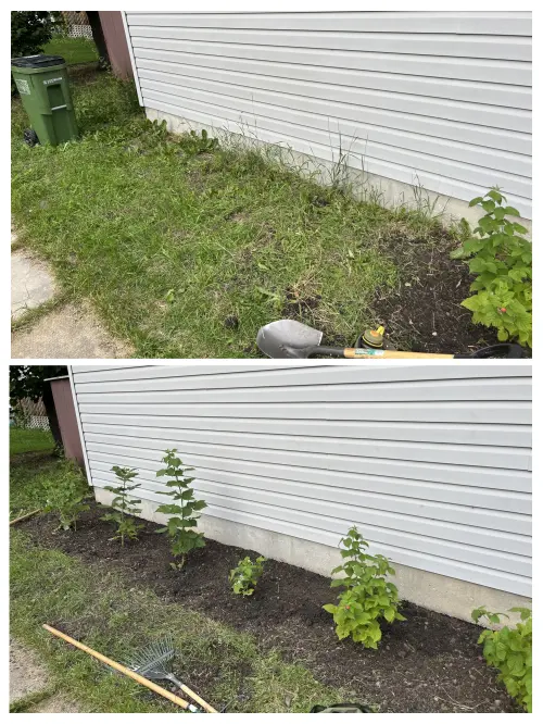 Created a new garden bed and added perennials