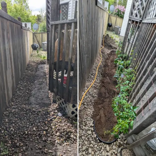 Created a new garden bed and added vining plants for future privacy