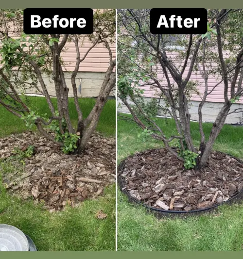 Removed weeds and added plastic edging to keep bark in and make mowing the lawn easier