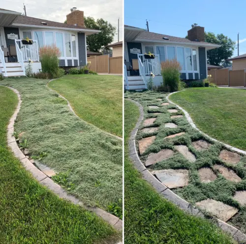 Cut around the edges of the paving stones to make them more visible and useable