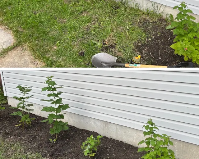 Planting, Transplanting & Bed Work