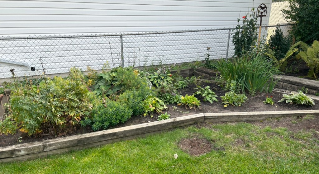 Over Wintering Your Zone 3/4 Perennial Garden