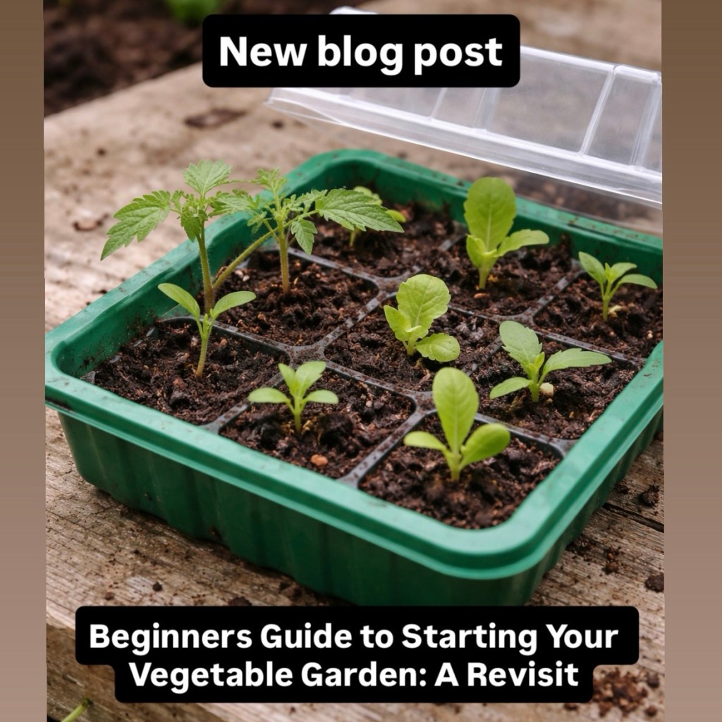 Beginners Guide to Starting Your Vegetable Garden: A Revisit